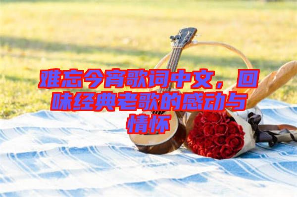 難忘今宵歌詞中文,回味經典老歌的感動與情懷